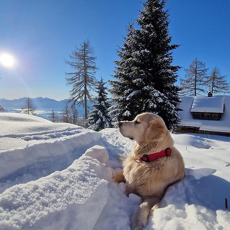 Вилла Chalet Petit Kanzelhohe Экстерьер фото