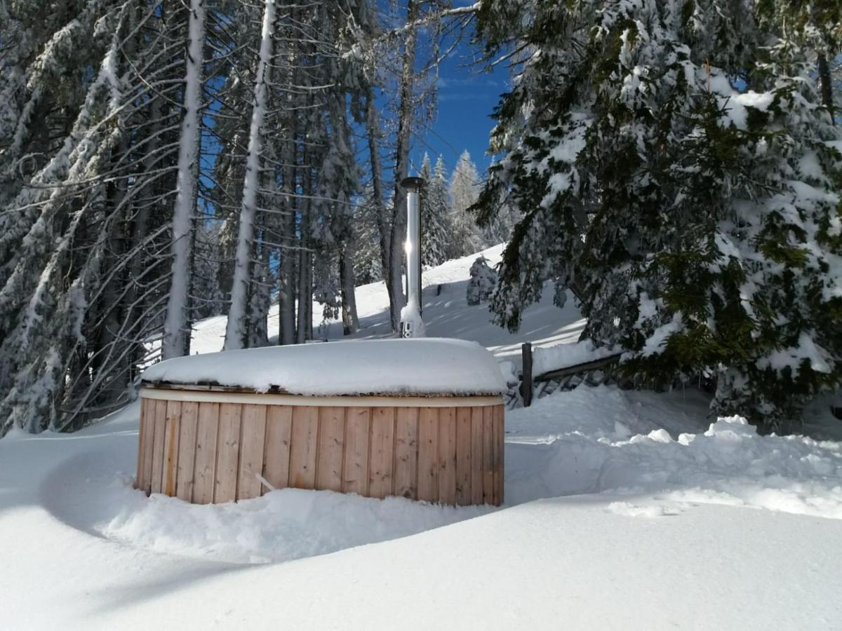 Вилла Chalet Petit Kanzelhohe Экстерьер фото